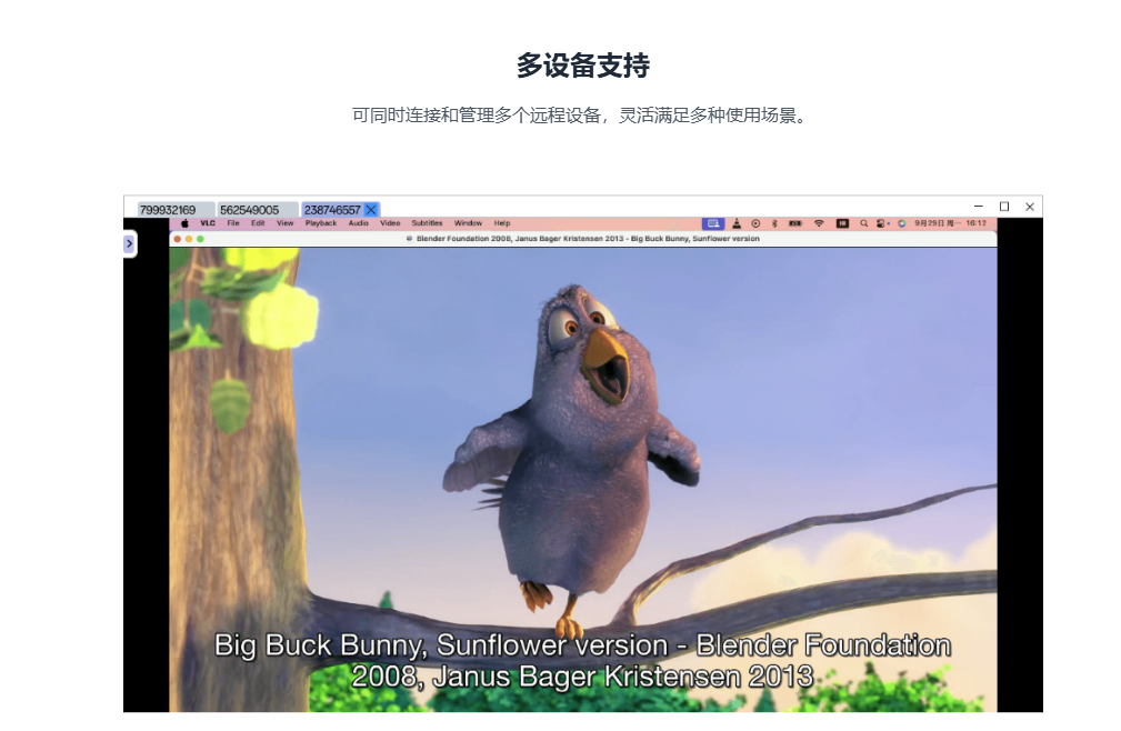 用了3天,我彻底爱上了这款国产神器:CrossDesk,远程办公的“天花板”!-DoTmT分享网