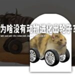 轮子这么方便的结构,为啥没有动物进化出轮子?是尝试失败了吗?