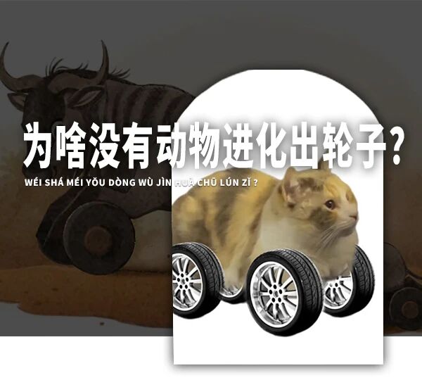 轮子这么方便的结构，为啥没有动物进化出轮子？是尝试失败了吗？-DoTmT分享网