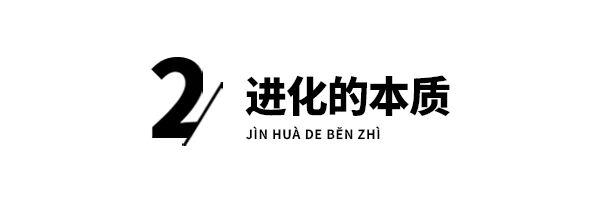 轮子这么方便的结构，为啥没有动物进化出轮子？是尝试失败了吗？-DoTmT分享网